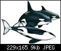 Cliquez sur l'image pour la voir en taille relle

Nom : Orca3.jpg
Affichages : 231
Taille : 9,2 Ko
ID : 1628