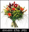 Cliquez sur l'image pour la voir en taille relle

Nom : bouquet2.jpg
Affichages : 316
Taille : 66,8 Ko
ID : 4016